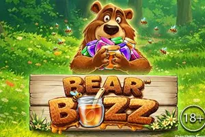Playtech : Bear Buzz - BOYBET168