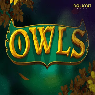 Owls - BOYBET168